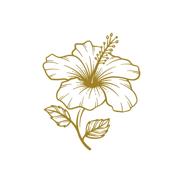 Vetor flor de hibisco desenhada à mão ilustração em vetor arte de linha de flor de hibisco