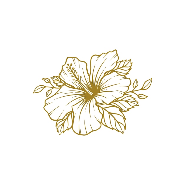 Vetor flor de hibisco desenhada à mão ilustração em vetor arte de linha de flor de hibisco