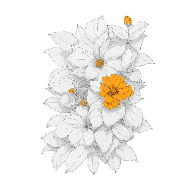 Flor de jasmim laranjalindo estilo de desenho animadofundo brancobrancopretolivro para colorir