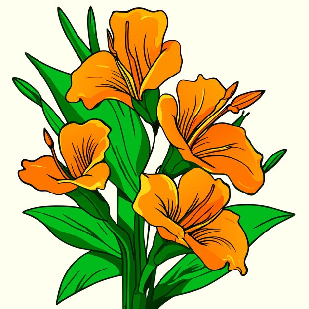 Vetor flor de laranja de gladiolus com folhas verdes