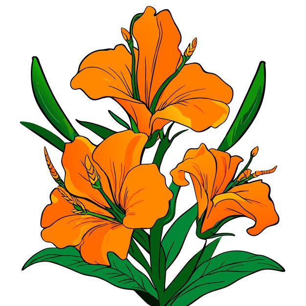 Vetor flor de laranja de gladiolus com folhas verdes