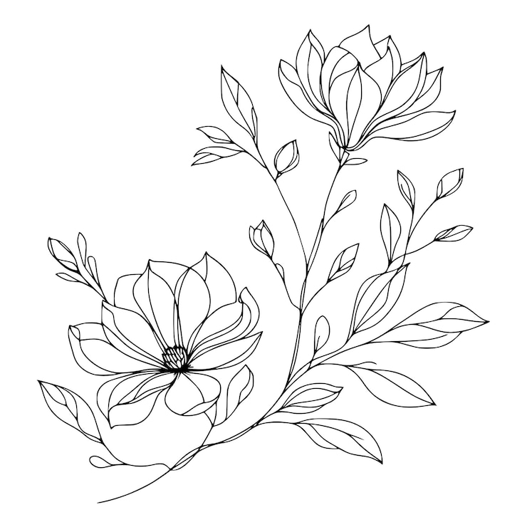 Vetor flor de linha contínua com folhas isoladas em fundo branco ilustração de flor desenhada à mão
