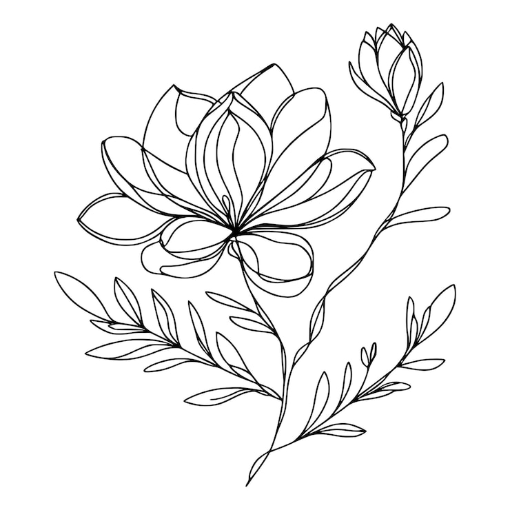Vetor flor de linha contínua com folhas isoladas em fundo branco ilustração de flor desenhada à mão