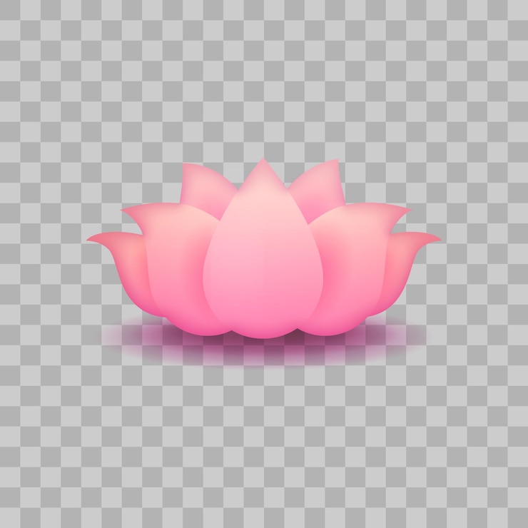 Vetor flor de lótus isolada por vetor com pétalas rosa claro com reflexo em fundo branco 3d