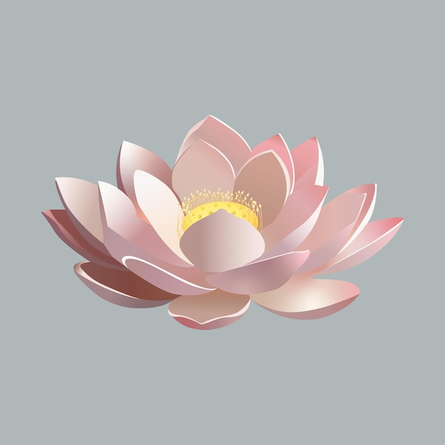 Flor de lótus