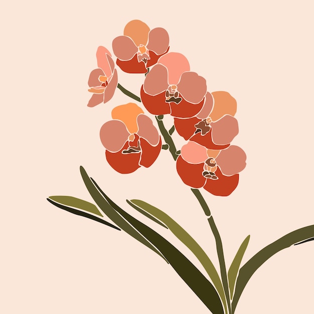 Flor de orquídea de colagem de arte em um estilo minimalista e moderno. silhueta de plantas de orquídea em um estilo abstrato simples contemporâneo em um fundo rosa. ilustração vetorial para impressão de camisetas, cartão, pôster