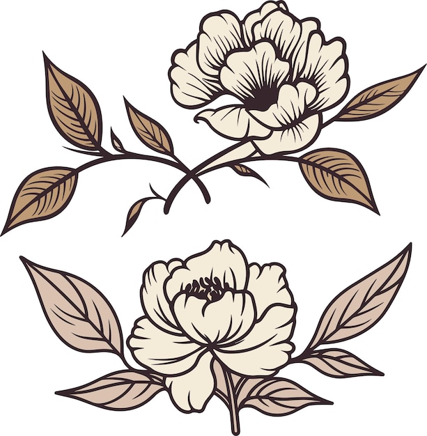 Vetor flor de peônia em esboço gráfico botânico mínimo desenho de linha de arte de tatuagem minúscula de moda floral