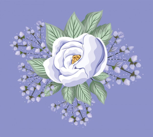 Flor de rosa branca com desenho de pintura de folhas, ornamento de planta de natureza floral natural, decoração de jardim e ilustração de tema de botânica