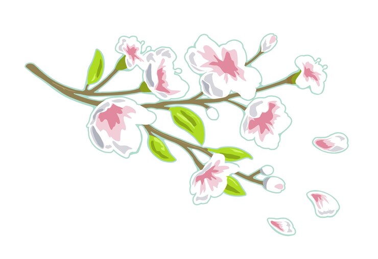 Vetor flor de sakura ramo de cereja com flores e botões pétalas caindo
