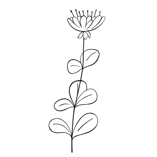 Flor desenhada à mão isolada no fundo branco elemento de verão floral vetor ilustração de esboço de doodle decorativo