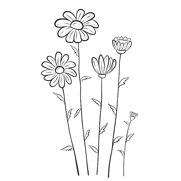 Flor desenhada à mão isolada no fundo branco ilustração de desenho decorativo doodle elemento floral vetorial