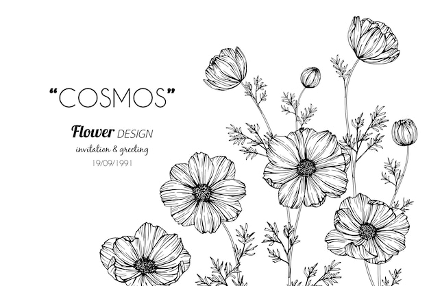 Flor do cosmos