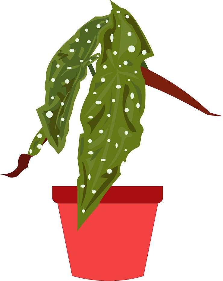 Vetor flor em uma panela vaso de cerâmica plantas verdes