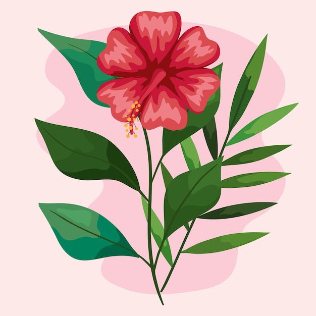 Flor havaiana vermelha com folhas