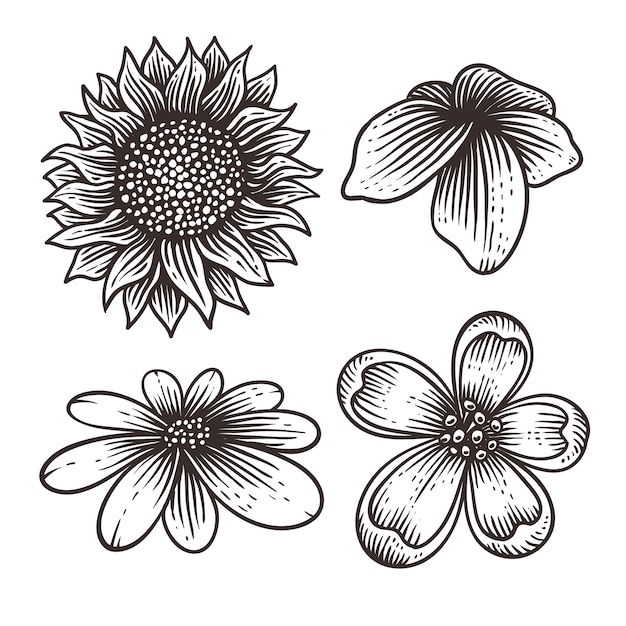 Flor, jogo, mão, desenhado, ilustração