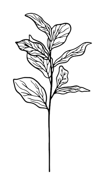 Flor mão desenhada ilustração plana. elementos de design botânico. vetor desenho clip-art.