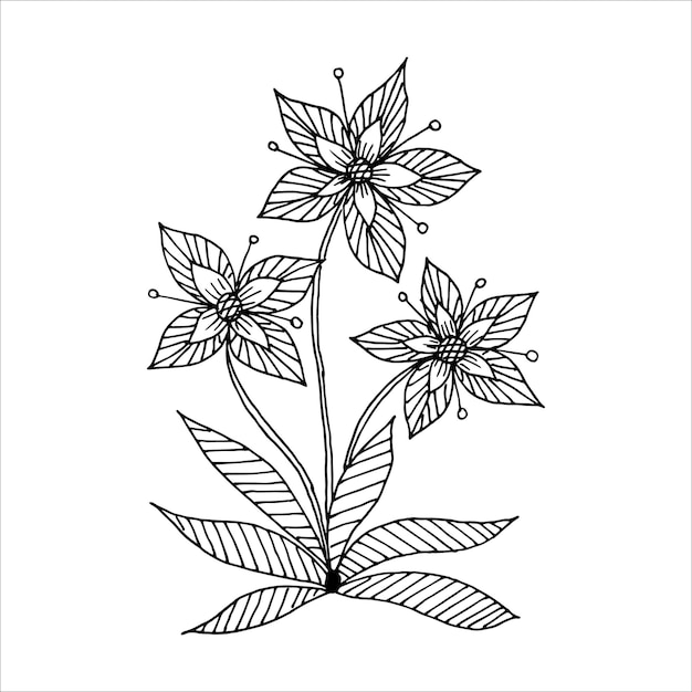 Flor preta e branca abstrata em doodle ou desenho à mão livre estilo desenho vetorial