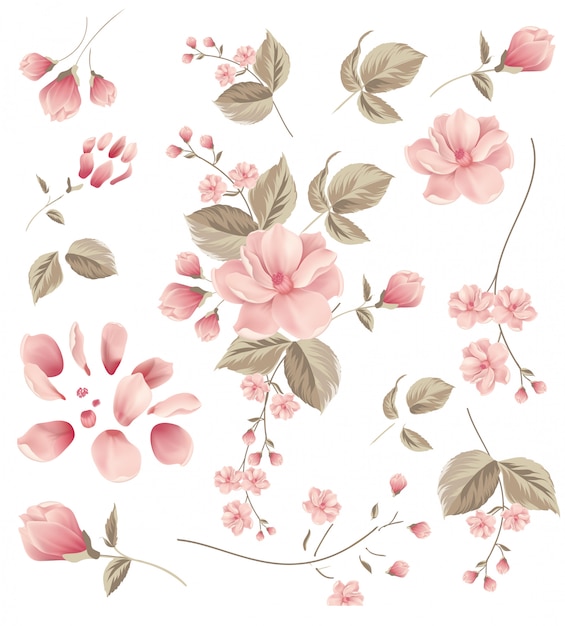 flor, quadro
