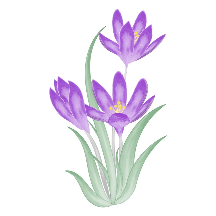 Vetor flor roxa em aquarela desenhada à mão