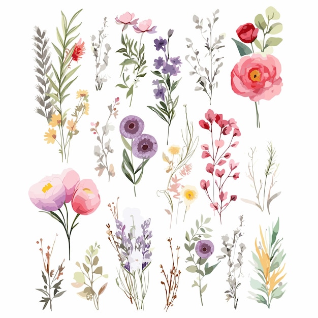 Flor selvagem para decoração de casamento