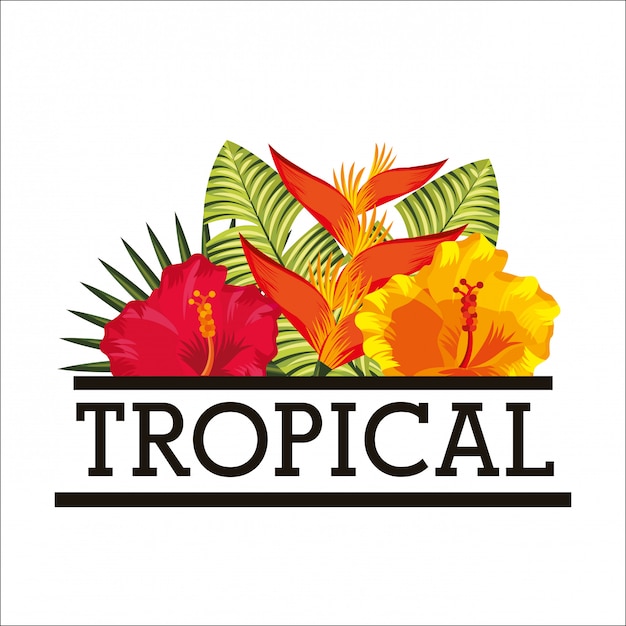 flor tropical deixa cartão