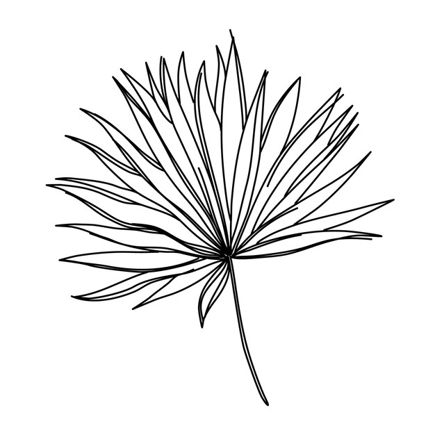 Flor um desenho de linha. estilo minimalista floral. símbolo da natureza. estampa botânica. linha contínua