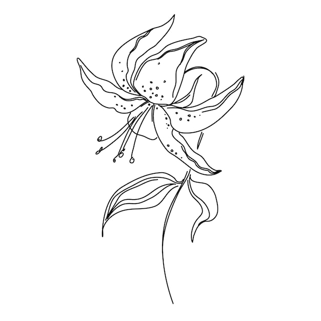 Vetor flor um desenho de linha. estilo minimalista floral. símbolo da natureza. estampa botânica. linha contínua
