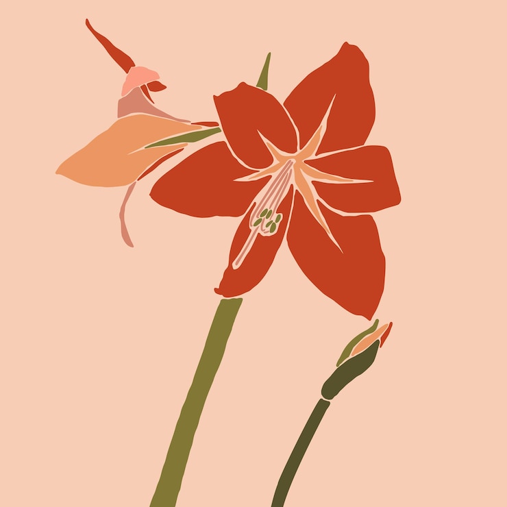 Vetor flor vermelha de amaryllis em um estilo minimalista da moda. silhueta de uma planta em um estilo abstrato simples contemporâneo. colagem de ilustração vetorial. para impressão de camisetas, cartão, pôster, postagem em mídia social