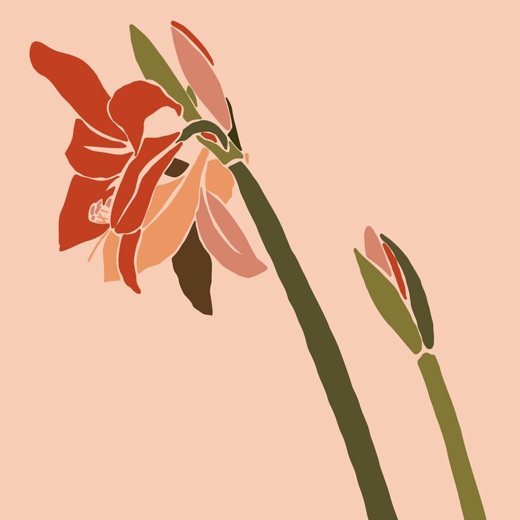 Vetor flor vermelha de amaryllis em um estilo minimalista da moda. silhueta de uma planta em um estilo abstrato simples contemporâneo. colagem de ilustração vetorial. para impressão de camisetas, cartão, pôster, postagem em mídia social