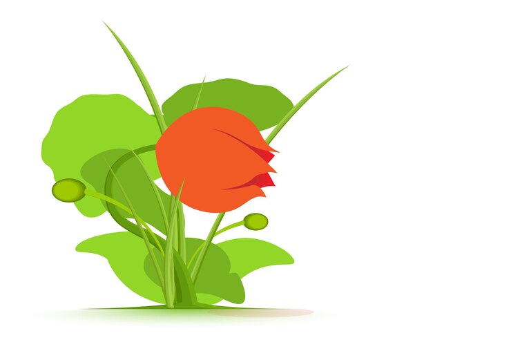 Vetor flor vermelha de primavera com caule e folhas ilustração vetorial de esboço isolada em fundo branco