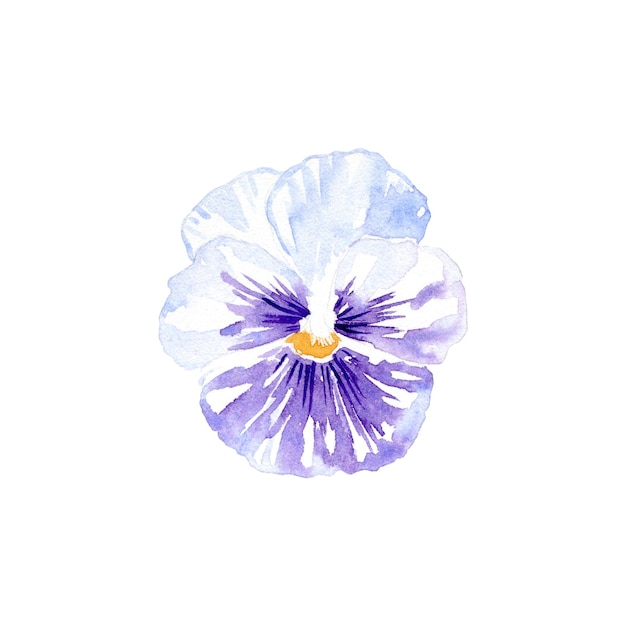 Flor violeta aquarela Mão desenhada ilustração botânica de planta florescendo