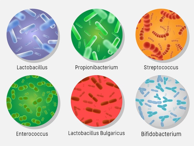 Flora bacteriana em ilustração isolada do vetor de conjunto de círculos
