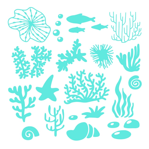Flora e fauna marinha ou oceânica