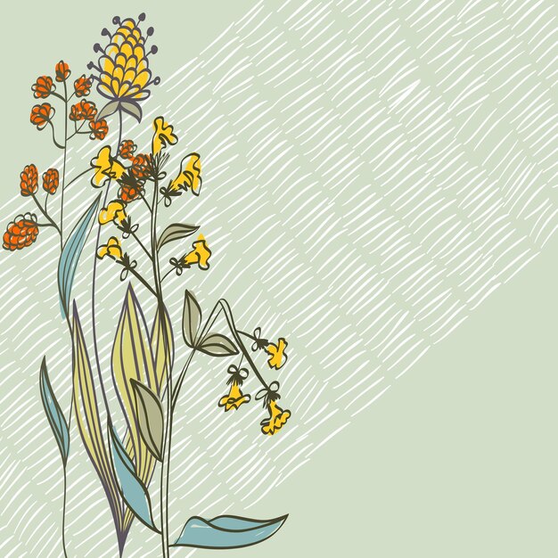 Vetor floral background