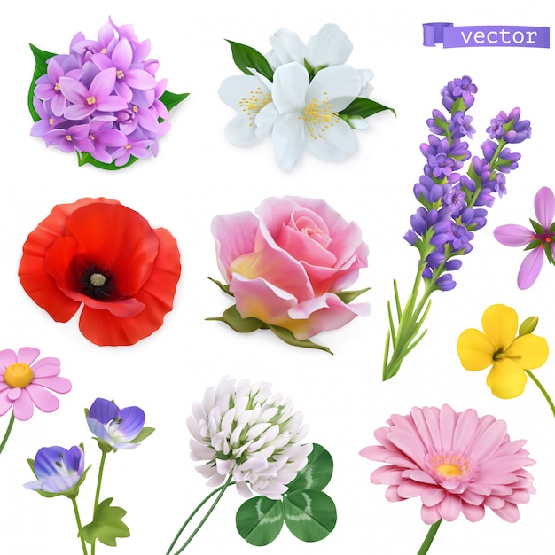 Flores da primavera. Lilás, jasmim, oppy, rosa, lavanda, trevo, camomila. Conjunto de ícones realista 3D