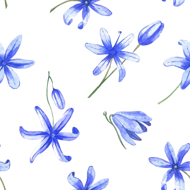Vetor flores de aquarela azul padrão sem emenda. flores da primavera em um fundo branco