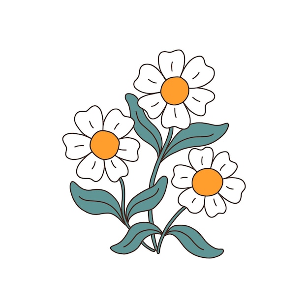 Vetor flores de camomila ou margarida desenho botânico de camomila de campo selvagem