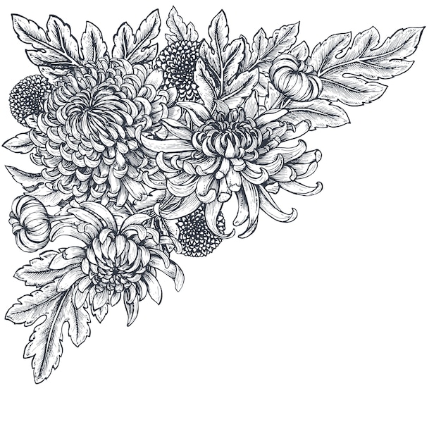 Flores de crisântemo desenhadas à mão em preto e branco