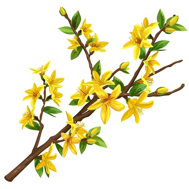 Vetor flores de forsythia