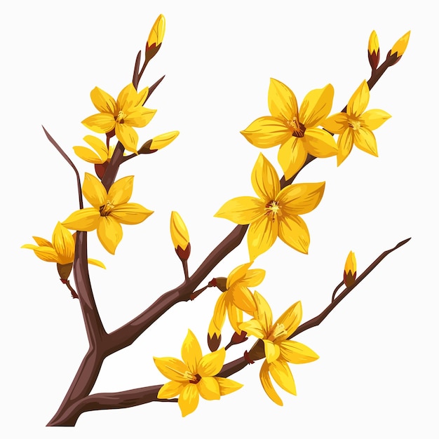 Vetor flores de forsythia