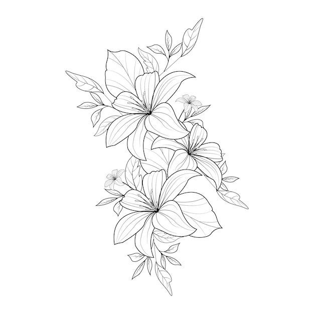 Flores de lírio desenhando com design gráfico de ilustrações vetoriais lineart