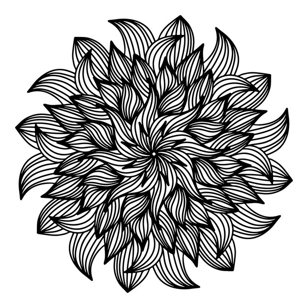 Flores de mandala de aster desenhadas à mão florais em estilo doodle adultos crianças para colorir página crisântemo