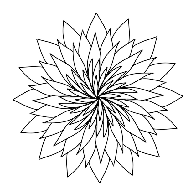 Flores de mandala de aster desenhadas à mão florais em estilo doodle página para colorir crisântemo lotus