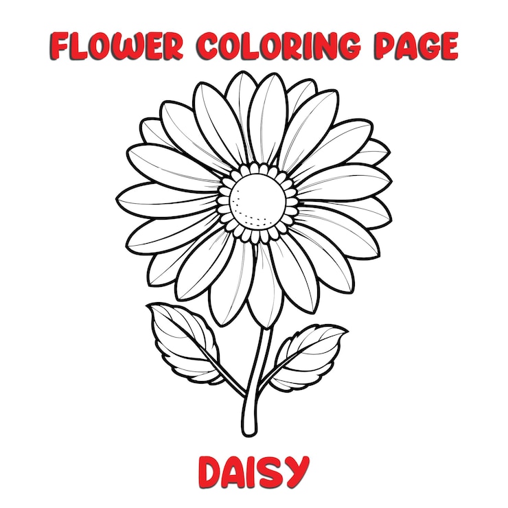 Vetor flores de margarida livro de colorir para crianças