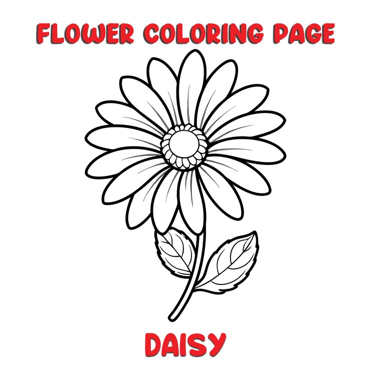 Vetor flores de margarida livro de colorir para crianças