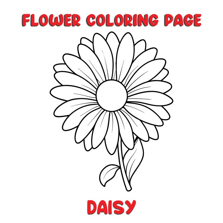 Vetor flores de margarida livro de colorir para crianças