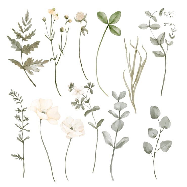 Vetor flores de outono e folhas verdes