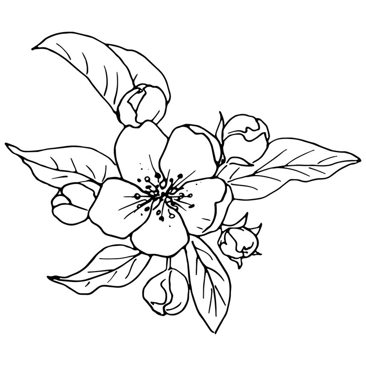 Vetor flores de primavera desenhadas em linha