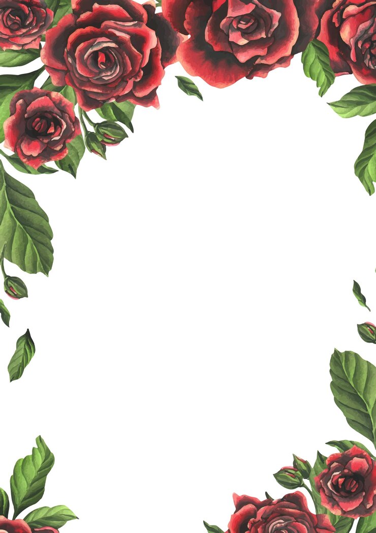 Vetor flores de rosa vermelho-preto com folhas e botões verdes elegantes brilhantes belas aquarelas desenhadas à mão