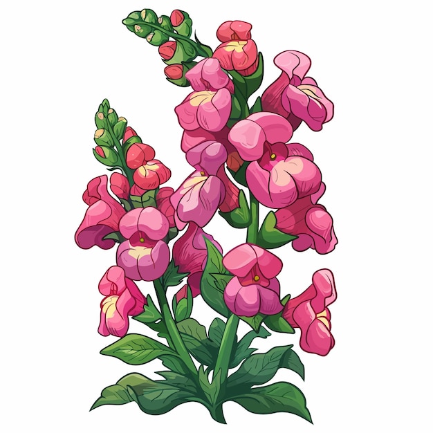 Flores de snapdragon